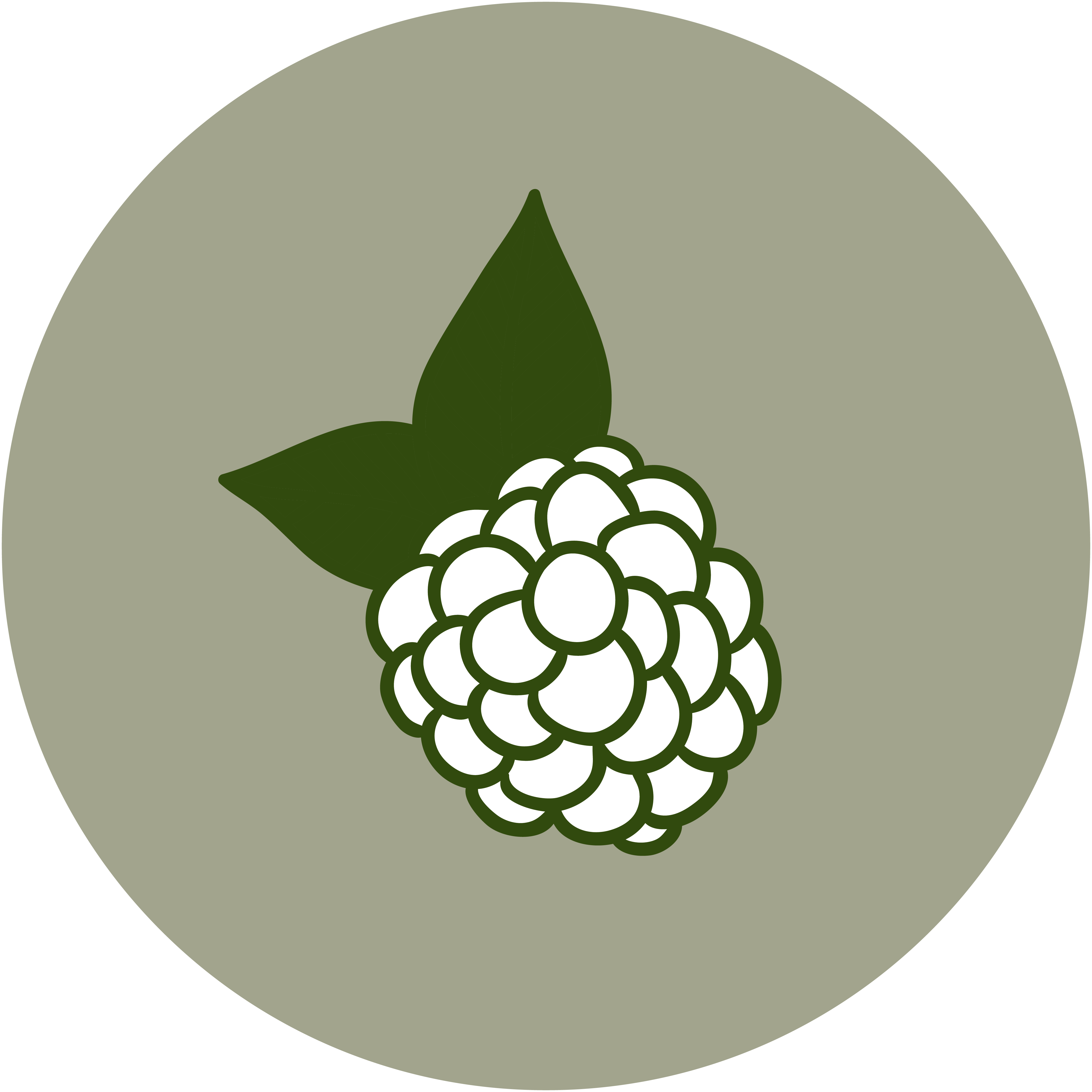 Berries